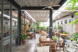 Tree Tales คาเฟ่เรือนกระจก สวนป่า พัทยา grandbangsaray
