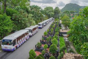 เที่ยวสวนนงนุช พัทยา ใกล้โรงแรม Grand Bangsaray