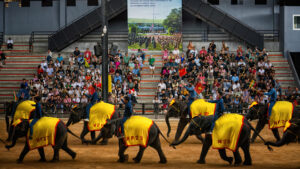 เที่ยวสวนนงนุช พัทยา ใกล้โรงแรม Grand Bangsaray