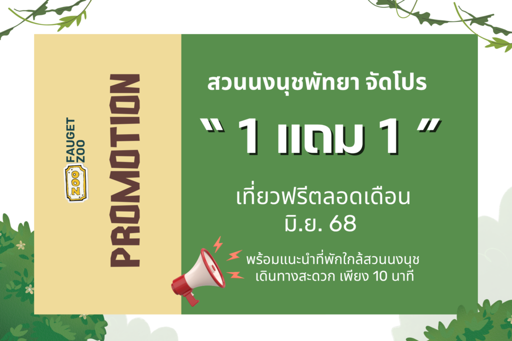 ที่พักพัทยา ที่พักบางเสร่