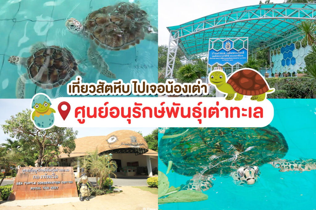 ที่พักพัทยา ที่พักบางเสร่