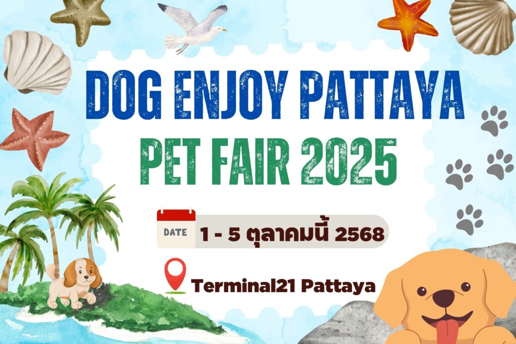 ที่พักพัทยา ที่พักบางเสร่