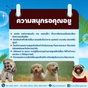 ที่พักพัทยา ที่พักบางเสร่